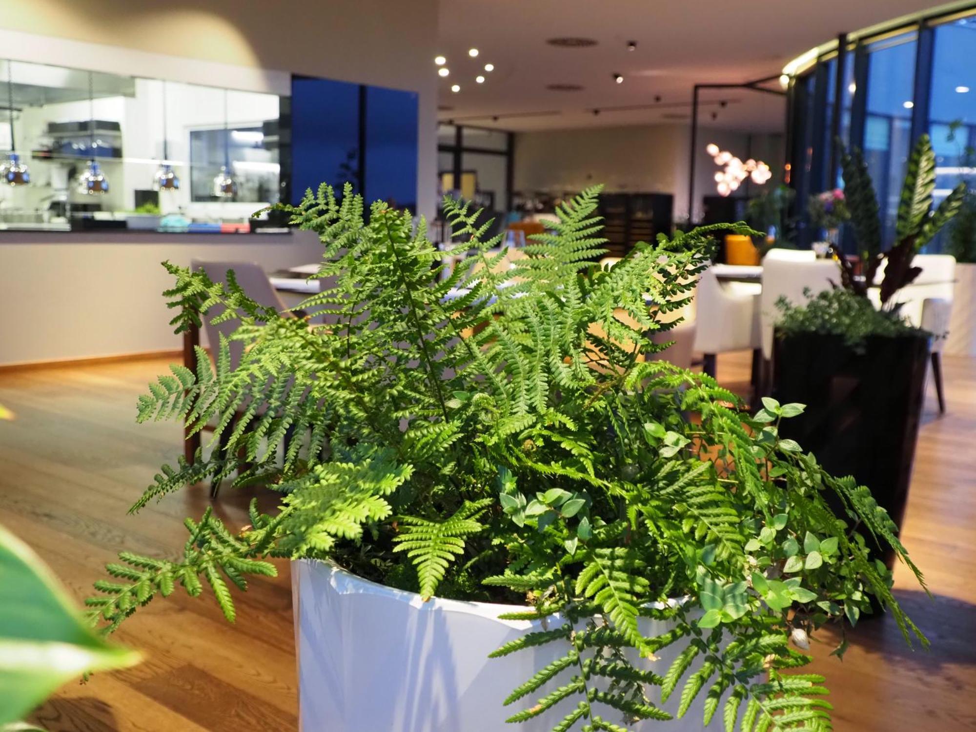 Mg Restaurace/Luxury Apartments Mladá Boleslav Dış mekan fotoğraf